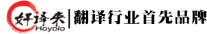南京好譯來(lái)翻譯咨詢(xún)有限公司
